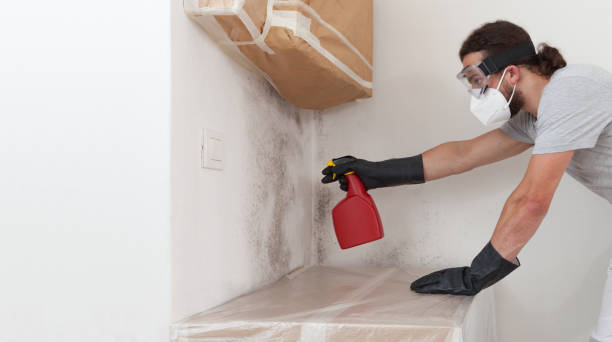 Attic Mold Remediation treatment on roof deck in Riverside
